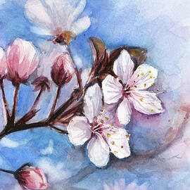 Cherry Blossoms by Olga Shvartsur