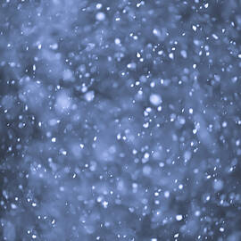 Evening snow 1 by Elena Elisseeva