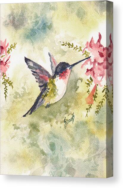 Hummingbird #1 Canvas Art Print by Sam Sidders