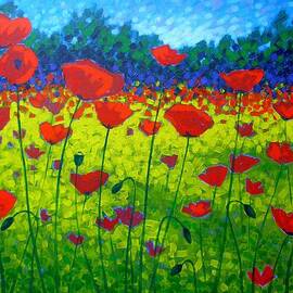 Poppy Field by John  Nolan