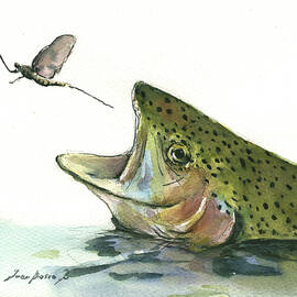 Rainbow trout by Juan Bosco