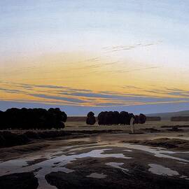 The Grosse Gehege Near Dresden by Caspar David Friedrich