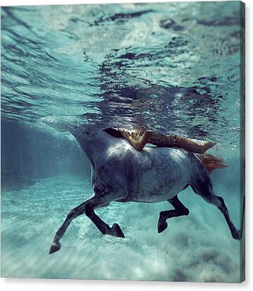 131016-8876 Canvas Print