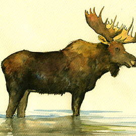 Moose watercolor painting. by Juan  Bosco