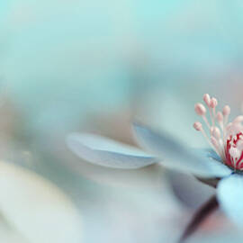 The Two Of Us by Heidi Westum