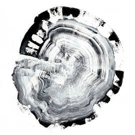 Tree Ring Abstract Iii by Ethan Harper