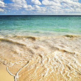 Wave on tropical beach  by Elena Elisseeva