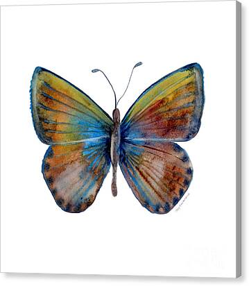 22 Clue Butterfly Canvas Print