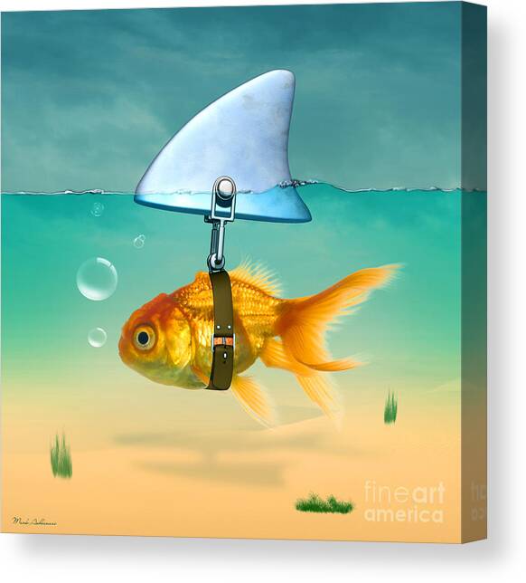 Gold Fish  Canvas Art Print by Mark Ashkenazi
