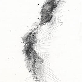 Untitled by Chris N Rohrbach