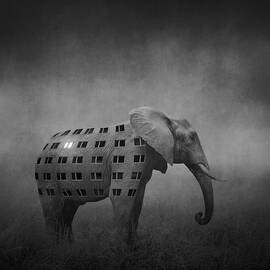 ... by Beata Bieniak