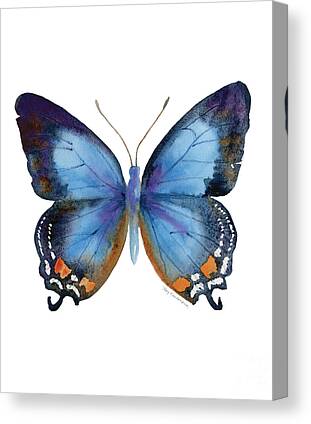 Insects Canvas Prints for Sale