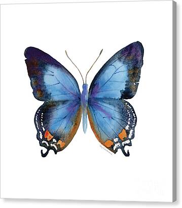 80 Imperial Blue Butterfly Canvas Print