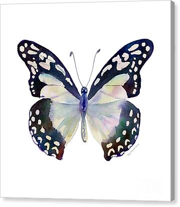 90 Angola White Lady Butterfly Canvas Print
