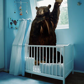 A Bear Inside A Crib In A Blue Room by Matthias Clamer