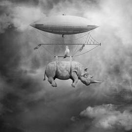 A IV by Beata Bieniak