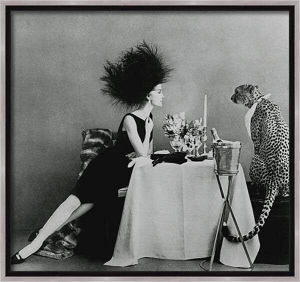 A Model With A Cheetah Framed Canvas Print