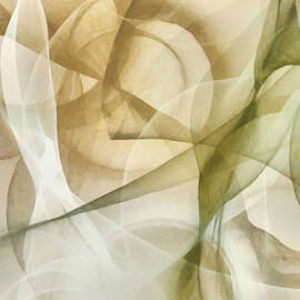 Abstract Thought Ii by Alonzo Saunders