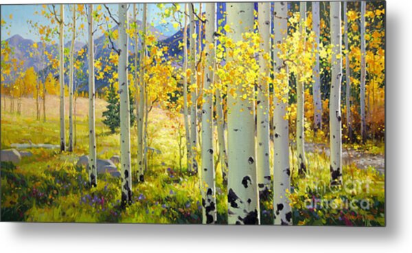 Afternoon Aspen Grove Metal Print