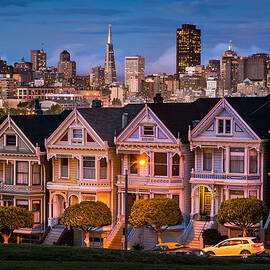 Alamo Square - Painted Ladies by Alexis Birkill