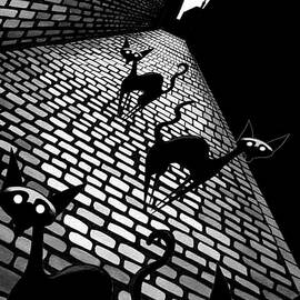 Alley Cats  by Andrew Hitchen