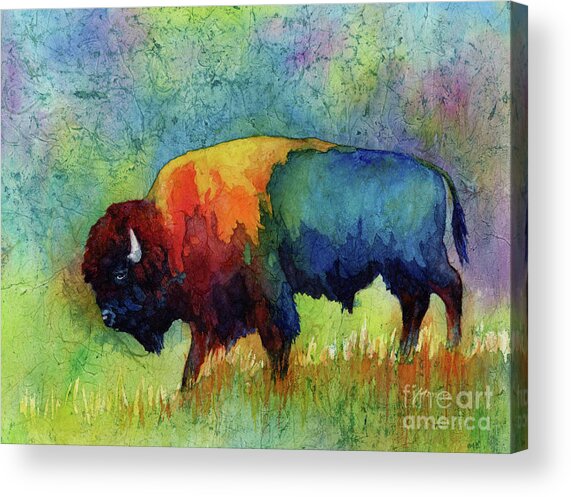 American Buffalo Iii Acrylic Print