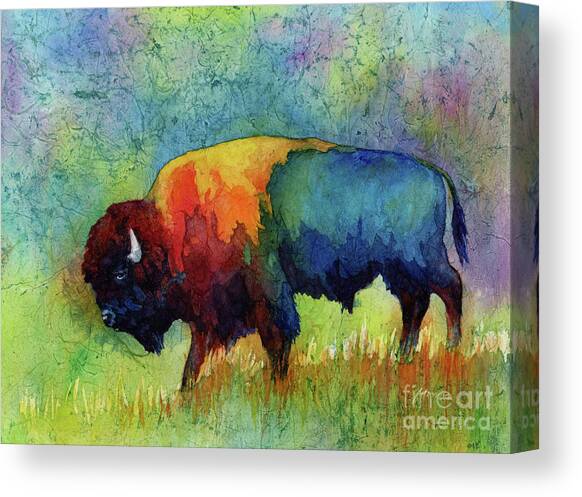 American Buffalo III Canvas Art Print by Hailey E Herrera