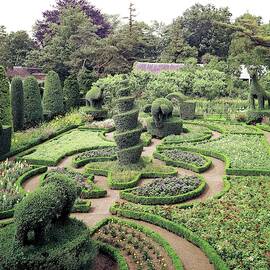 An Ornamental Garden by Tom Leonard
