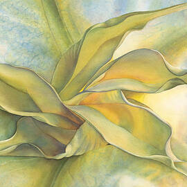 Angel's Pirouette by Sandy Haight