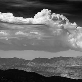 Anza Borrego Afternoon Monsoon by William Dunigan