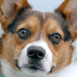 ARE YOU LOOKING AT ME by Mike McGlothlen