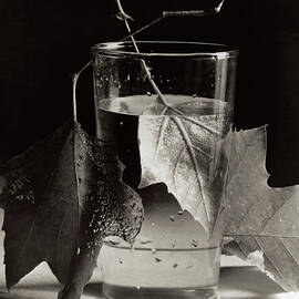 Army Leaves, Fort Belvoir, Virginia, 1944 by Horst P Horst