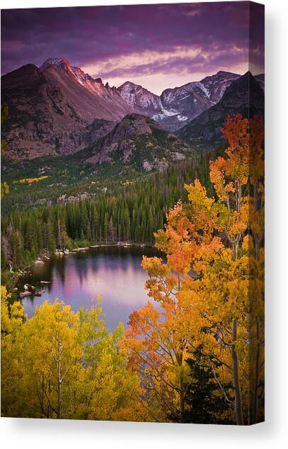 Aspen Sunset Over Bear Lake Canvas Art Print by Mike Berenson