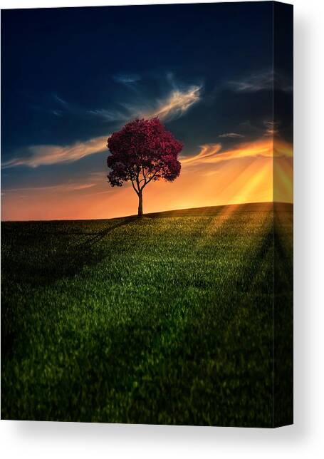 Awesome Solitude Canvas Art Print by Bess Hamiti