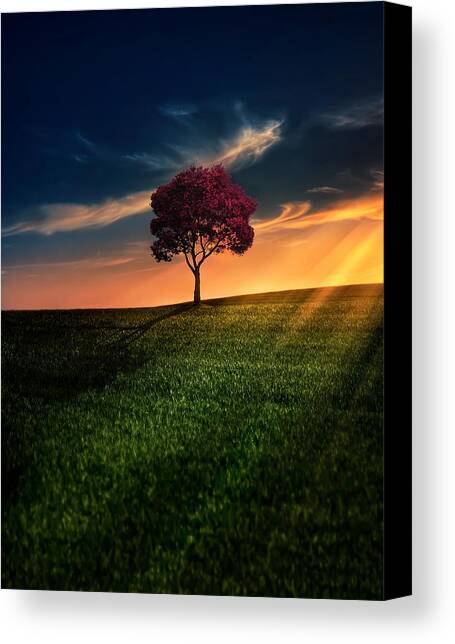 Custom Canvas Prints