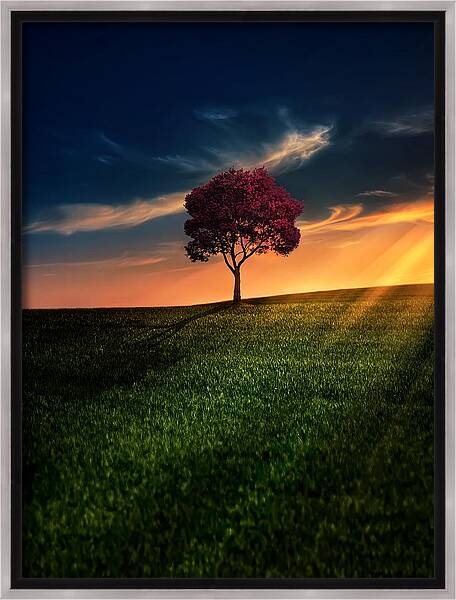 Custom Framed Canvas Prints