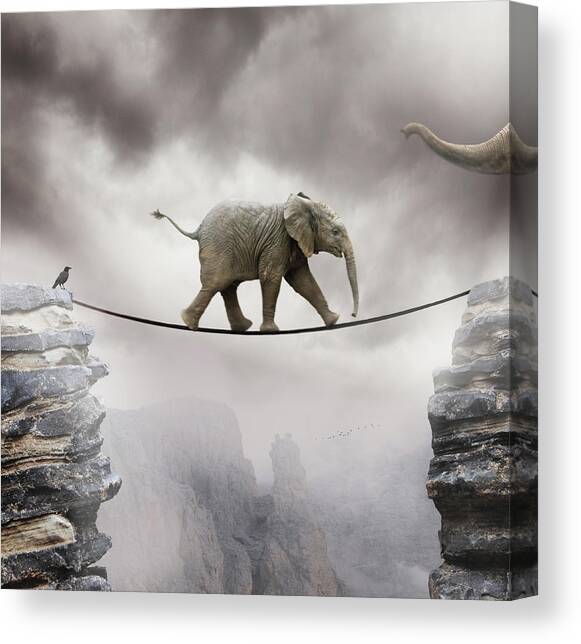 Baby Elephant Canvas Art Print by By Sigi Kolbe