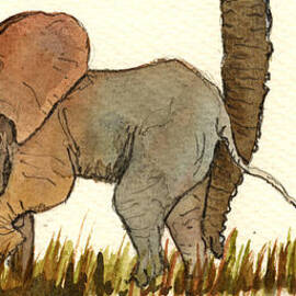 Baby elephant by Juan  Bosco