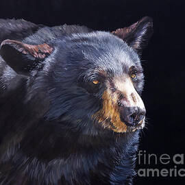 Back in Black Bear by J W Baker