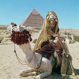 Baronne Van Zuylen On A Camel by Leombruno-Bodi