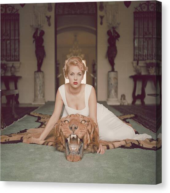 Beauty And The Beast Canvas Art Print by Slim Aarons