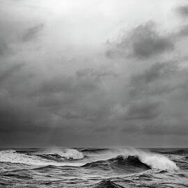 Beautys Dark And Deep by Zeb Andrews