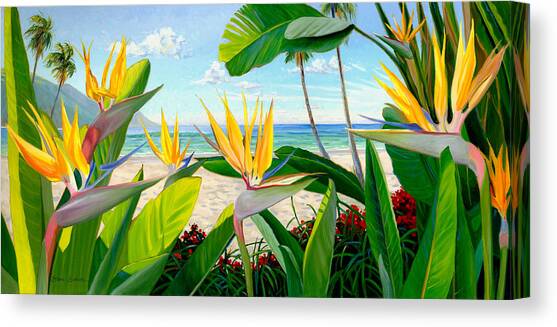 Birds of Paradise Canvas Art Print by Steve Simon