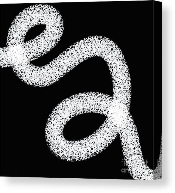 Black and White Abstract Design Canvas Art Print by Edward Fielding