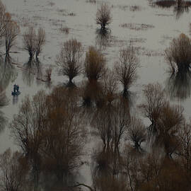 Blend Into The Landscape by Mathilde Guillemot
