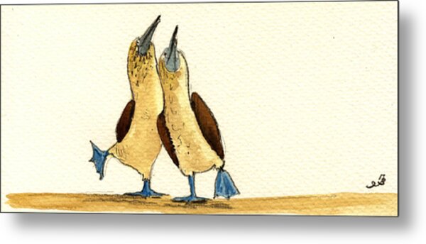 Blue Footed Boobies Metal Print