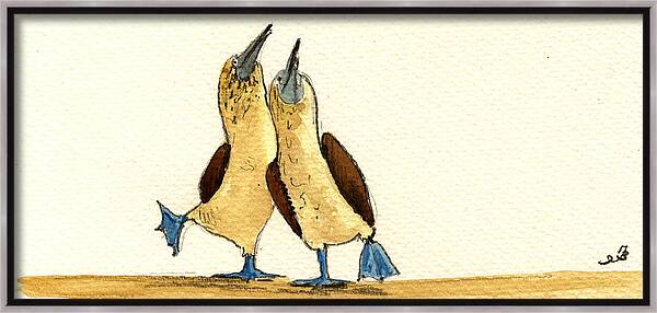 Blue Footed Boobies Framed Canvas Print