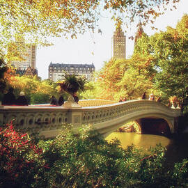 Bow Bridge - Autumn - Central Park by Vivienne Gucwa