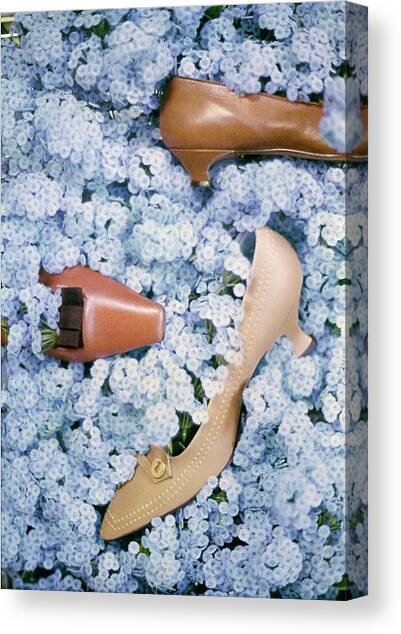 Brown Shoes in Bed of Blue Flowers Canvas Art Print by Gordon Parks