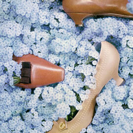 Brown Shoes in Bed of Blue Flowers by Gordon Parks